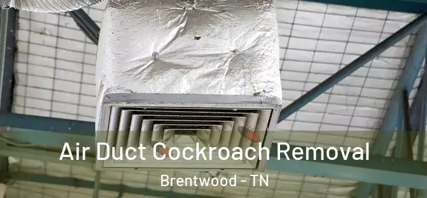  Air Duct Cockroach Removal Brentwood - TN