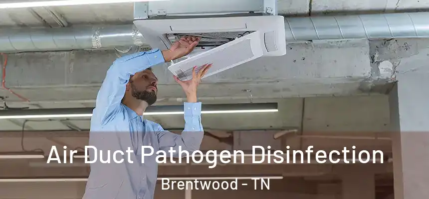 Air Duct Pathogen Disinfection Brentwood - TN