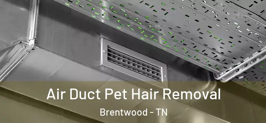 Air Duct Pet Hair Removal Brentwood - TN