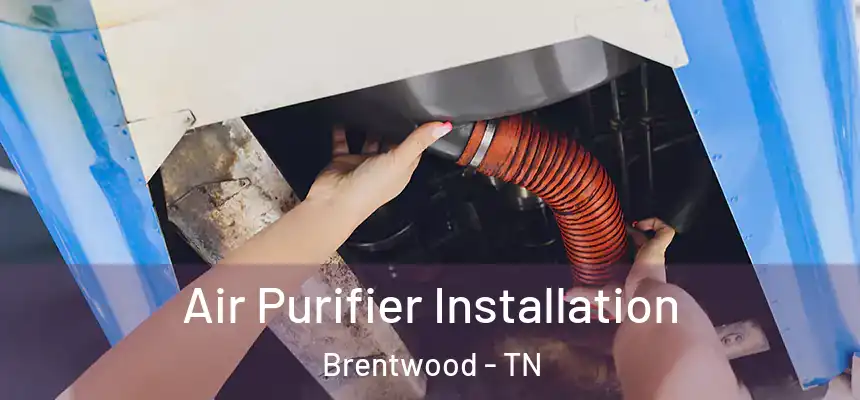  Air Purifier Installation Brentwood - TN
