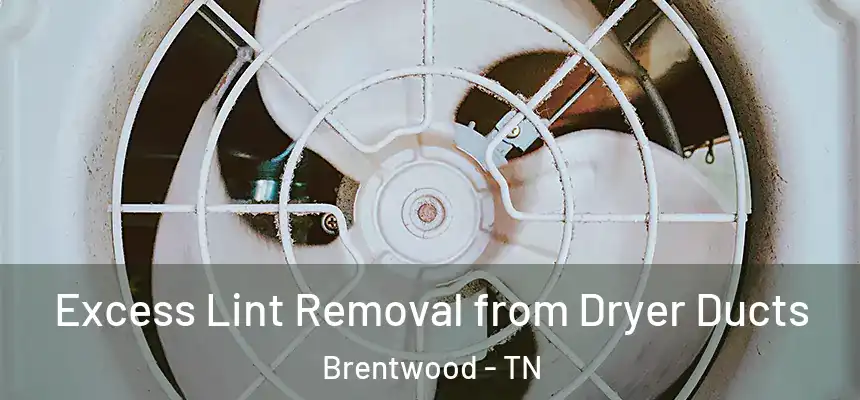 Excess Lint Removal from Dryer Ducts Brentwood - TN