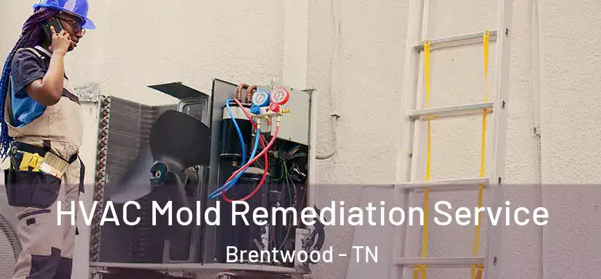  HVAC Mold Remediation Service Brentwood - TN