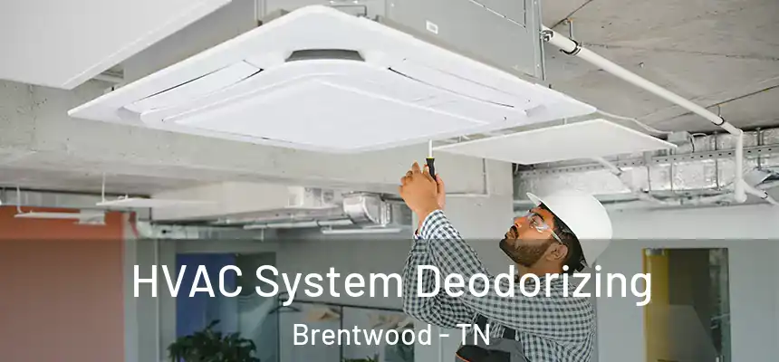 HVAC System Deodorizing Brentwood - TN