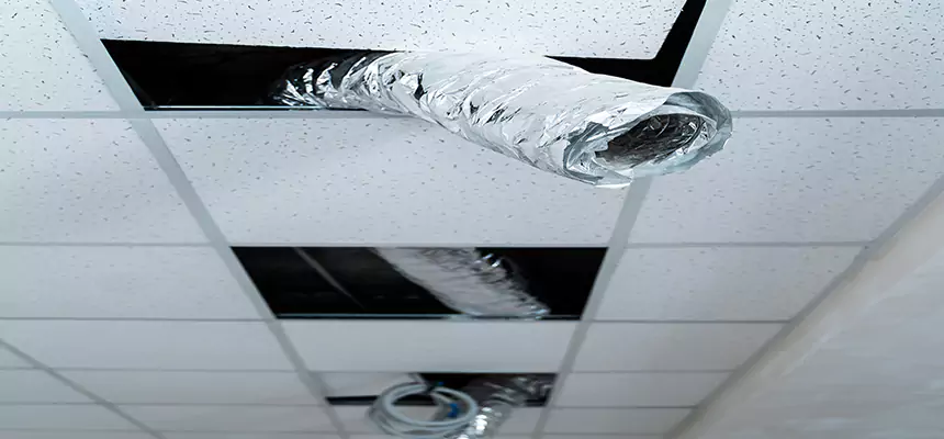 Our Air Duct Pet Hair Removal Services in Brentwood, TN