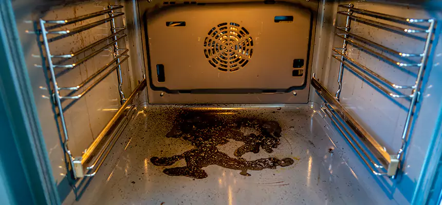 Our Dryer Vent Mold Cleaning Services in Brentwood, TN