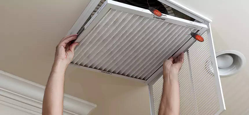 Our Insect Removal from Air Ducts Services in Brentwood, TN