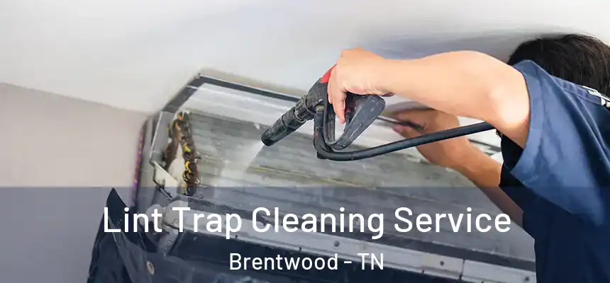  Lint Trap Cleaning Service Brentwood - TN