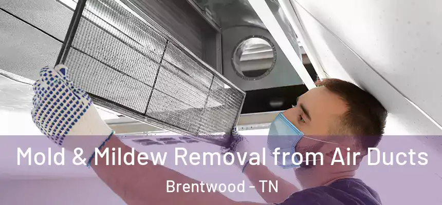 Mold & Mildew Removal from Air Ducts Brentwood - TN