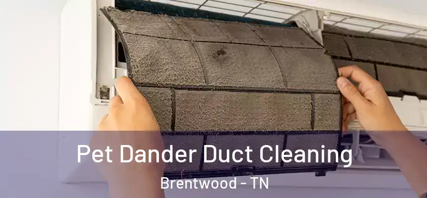 Pet Dander Duct Cleaning Brentwood - TN