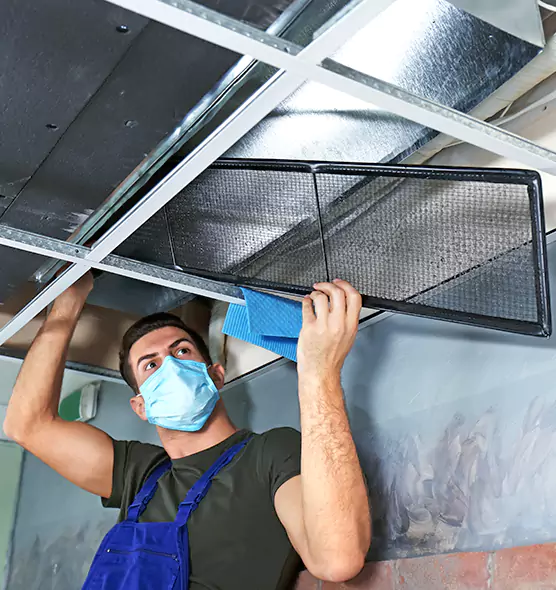 About Air Duct Bacteria Removal in Brentwood