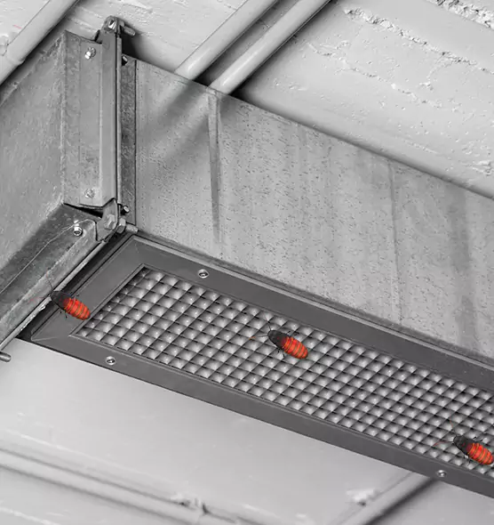 About Air Duct Cockroach Removal in Brentwood, TN