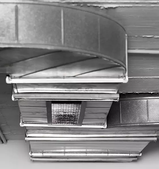 Professional Air Duct Pet Hair Removal in Brentwood, TN