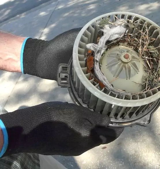 About Air Duct Rat Removal in Brentwood, TN