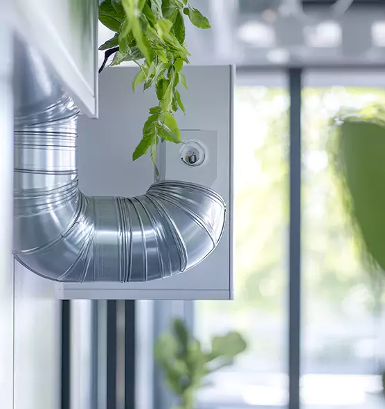 Professional Eco-Safe Dryer Vent Cleaning in Brentwood, TN