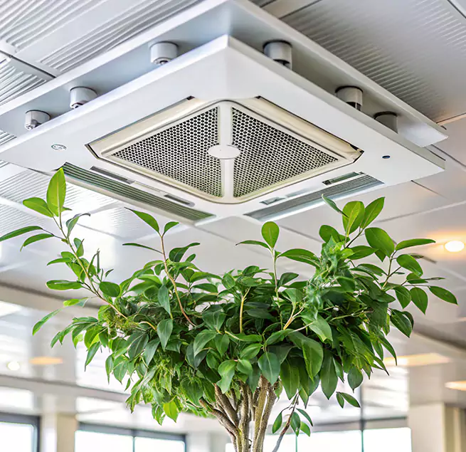 Why Homeowners & Businesses Trust Us in Brentwood, TN?