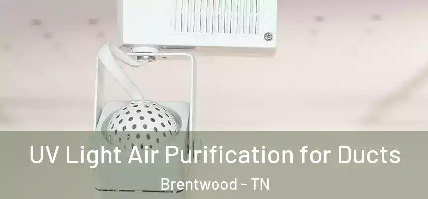  UV Light Air Purification for Ducts Brentwood - TN